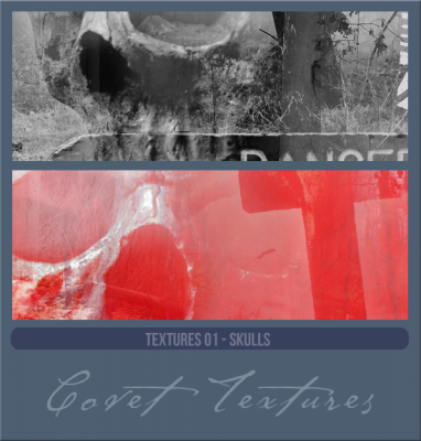 Textures01Skullspreview.png