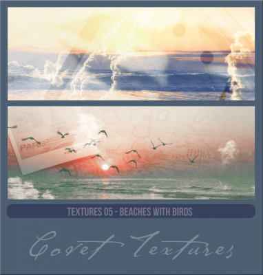 Textures05beachesbirdspreview.png