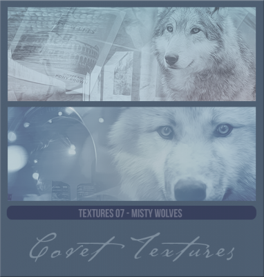 Textures07mistywolvespreview.png