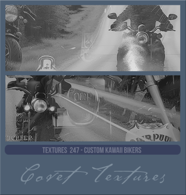 Textures247cusKawBikers.png