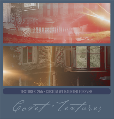 Textures255cusWTHauntedforever.png