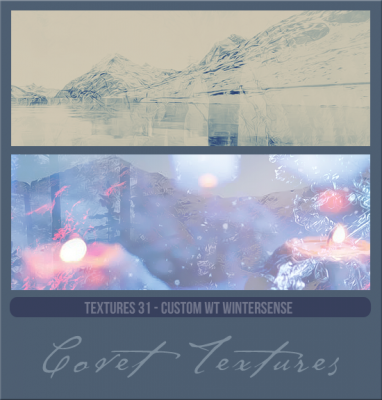 Textures31customWTwinter.png