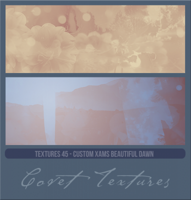 Textures45customxamsdawn.png