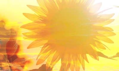 Covettexturesunflower2022.png