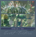 COVETtctextures1121cacti.png