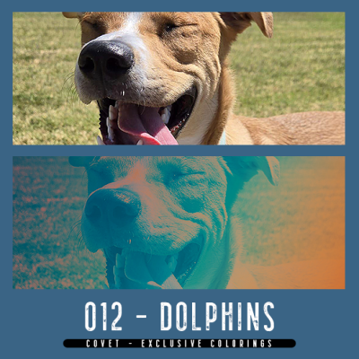 CovetColoringEX12Dolphins.png