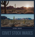 COVETAIstockTAGSSDESERT.png