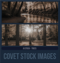 COVETAIstockTAGSSTREES.png