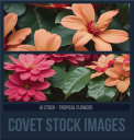 COVETAIstockTAGSSTROPFLOWERS.png