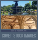 COVETstock02nyccentralp.png