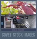 COVETstock03nycrandom.png