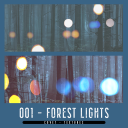 Covettexturepreview2401Forestlights.png