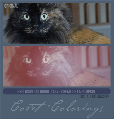 Covetexcoloring467AHECremedelapumpkin.png