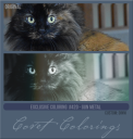 Covetexcoloring420cusdinnigunmetal.png