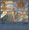 EXTextures170tigersburnPOD.png