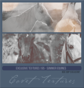 EXTextures195SBPhorses.png