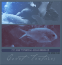 EXTextures84TAGSF01ocean.png