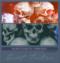 Extextures252SKflamingskulls.png