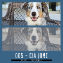 Filename=CovetColoringpreview2505CIAJune.png
Filesize=372KiB
Dimensions=540x540
Date added=Jul 19, 2025 CovetColoringpreview2505CIAJune.png