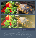 Covetexcoloring280CDTS21mossy.png