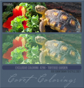 Covetexcoloring296CDTSgarden.png