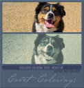 Covetexcoloring326PN622mercyme.png