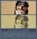 Covetexcoloring329SBPgolden.png