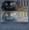 Covetexcoloring414CDTS22Glory.png