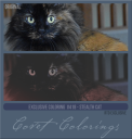 Covetexcoloring418stealthcat.png