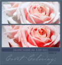 Covetexcoloring49WTbloodyroses.png