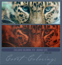 Covetexcoloring76addictioncatsorange.png