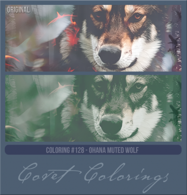 COVETcoloring128ohana1.png