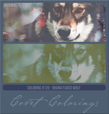 COVETcoloring129ohana2.png