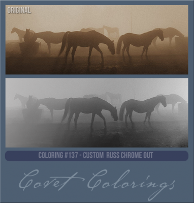 COVETcoloring137cusrusschrome.png