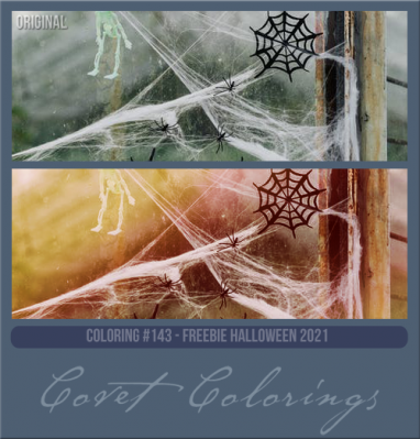 COVETcoloring143freebiehallow.png