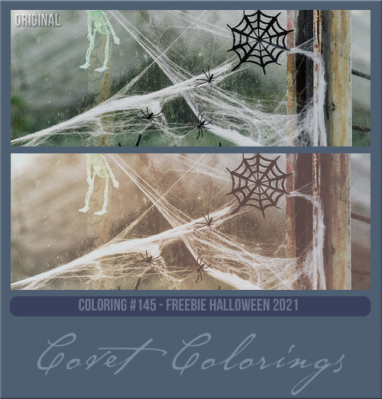 COVETcoloring145freebiehallow.png