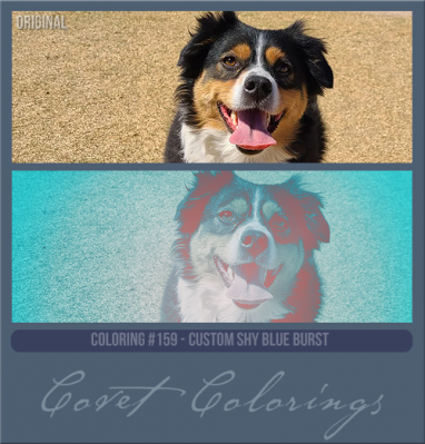 COVETcoloring159shyblueburst.png