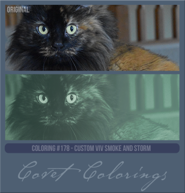 COVETcoloring178cusvivstormsmoke.png