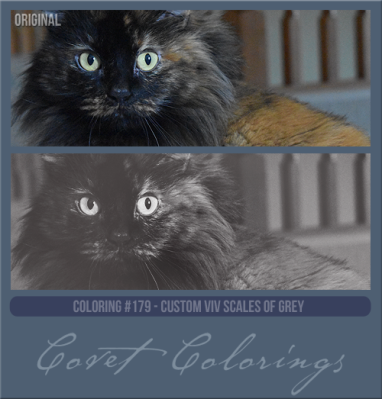 COVETcoloring179cusvivgreyscales.png