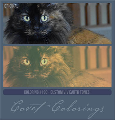 COVETcoloring180cusvivearthtones.png