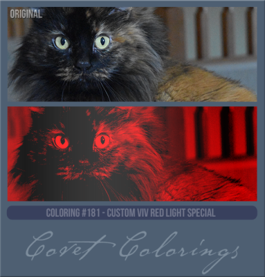 COVETcoloring181cusvivredspecial.png