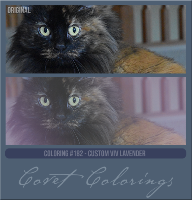 COVETcoloring182cusvivlavender.png