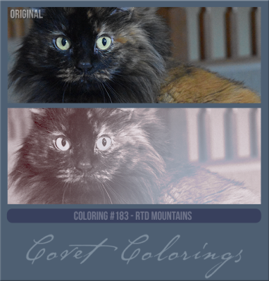 COVETcoloring183RTDmountains.png