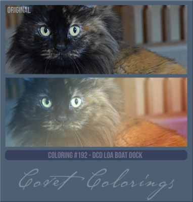 COVETcoloring192LOA23boatdock.png