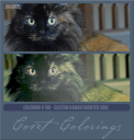 COVETcoloring196cusKawhauntedsoul.png